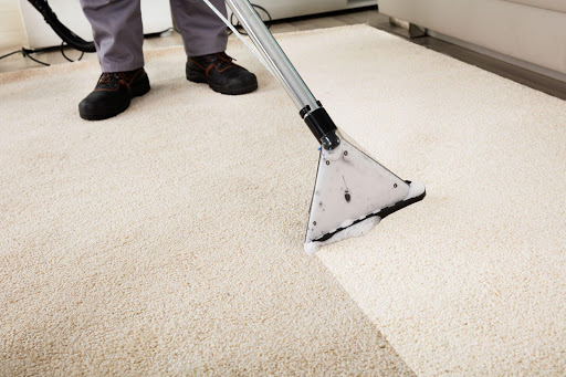 San Leandro Special Green Carpet Cleaning Expert