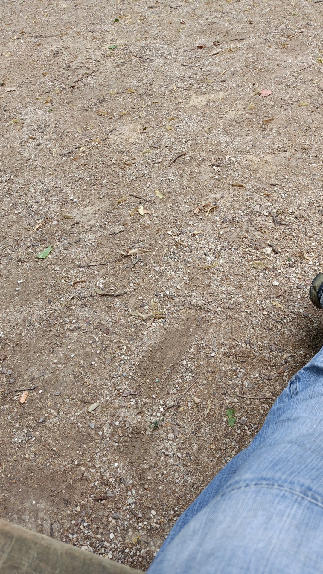 Photo n° 4 de l'avis de Abdelhafid.j fait le 25/07/2021 à 13:38