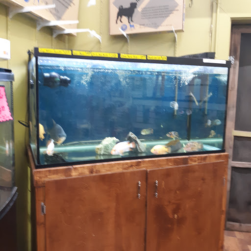 Pet Store «Jules Pet Shop», reviews and photos, 2214 N Milwaukee Ave, Chicago, IL 60647, USA