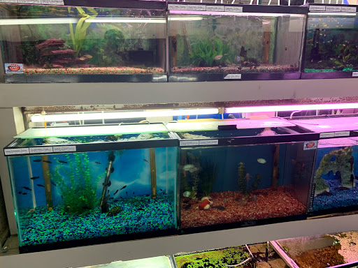 Pet Store «Southside Pet Shop», reviews and photos, 7031 Southside Dr, Louisville, KY 40214, USA