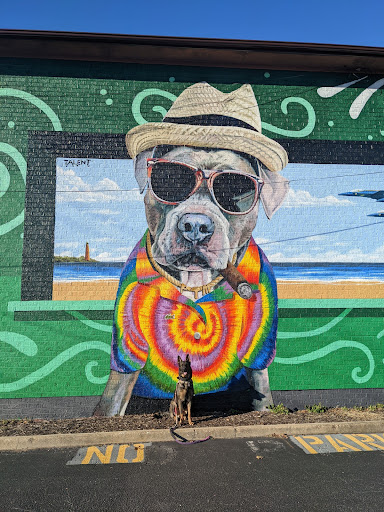 Tobacco Shop «Pitbull Tobacco & More», reviews and photos, 154 S Rosemont Rd, Virginia Beach, VA 23452, USA