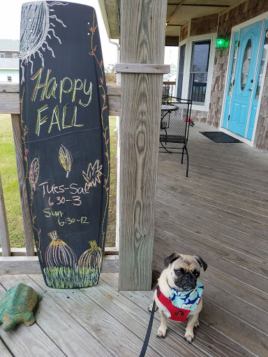 Coffee Shop «Dancing Turtle Coffee Shop», reviews and photos, 58079 NC-12, Hatteras, NC 27943, USA