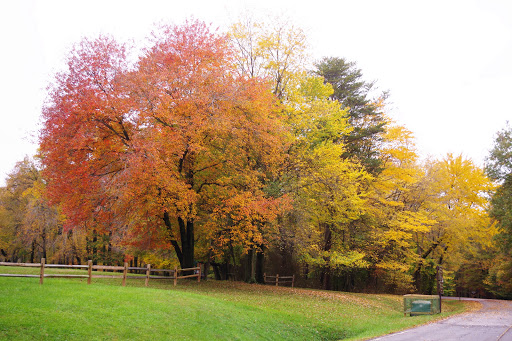 National Park «Greenbelt Park», reviews and photos, 6565 Greenbelt Rd, Greenbelt, MD 20770, USA