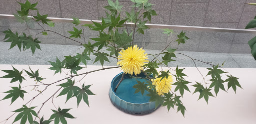 Art Museum «Nerman Museum of Contemporary Art», reviews and photos, 12345 College Blvd, Overland Park, KS 66210, USA