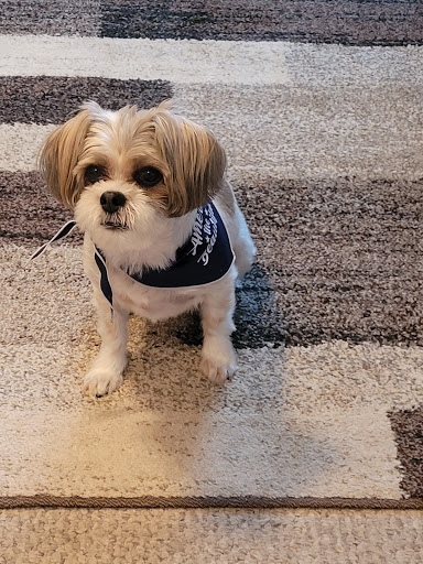 Pet Supply Store «Petco Animal Supplies», reviews and photos, 1111 S Main St #100, Bowling Green, OH 43402, USA