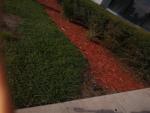 Commercial Printer «Trend Offset Printing», reviews and photos, 10301 Busch Dr N, Jacksonville, FL 32218, USA