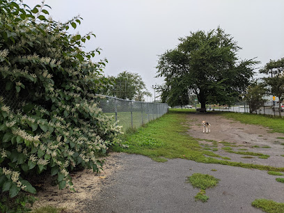 Citadel Hill Offleash Dog Park