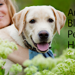 Animal Blessings Pet Hospital