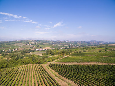 AZ. agricola vitivinicola e agrituristica BOSCO LONGHINO frazione MOLINO MARCONI, 27047 Santa Maria della Versa PV, Italia