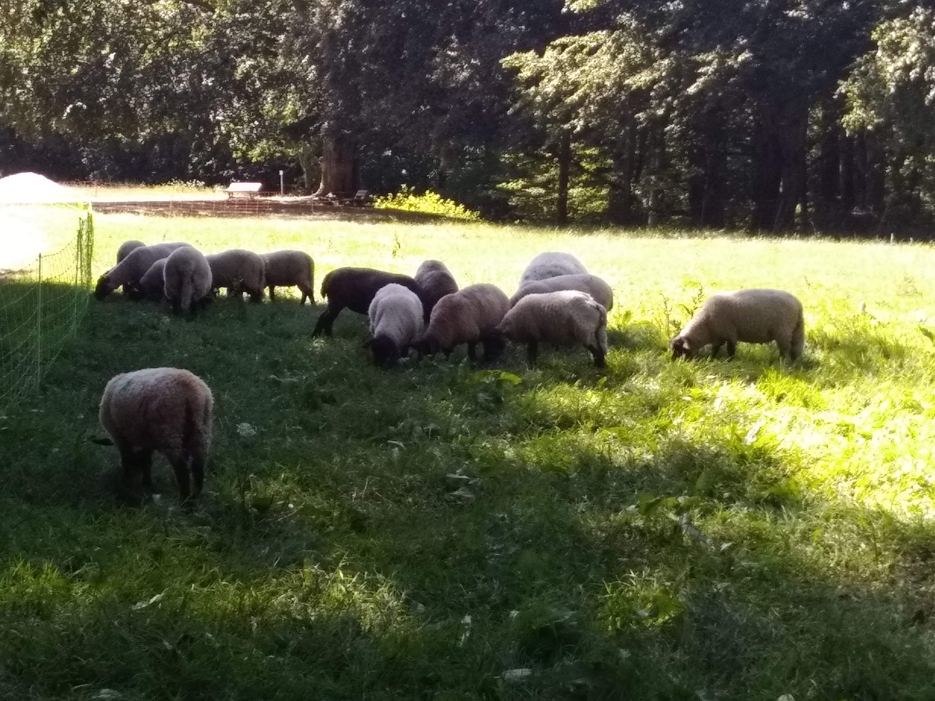 Photo n° 1 de l'avis de guerino.a fait le 28/09/2020 à 10:17