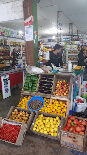 Fruteria "el Chanchin" - Tienda