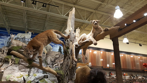 Outdoor Sports Store «Field & Stream», reviews and photos, 2075 Interchange Rd, Erie, PA 16509, USA