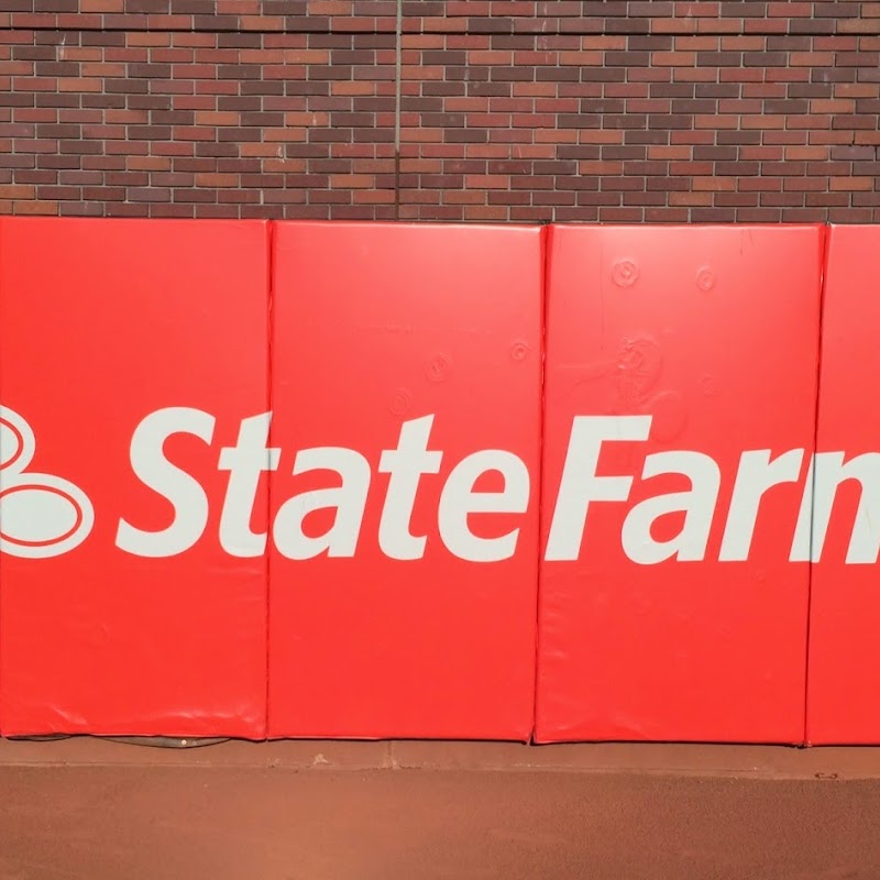 Dave and Jake Stewart - State Farm Insurance Agent