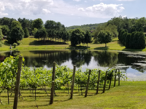 Winery «Dalice Elizabeth Winery», reviews and photos, 6 Amos Rd, Preston, CT 06365, USA