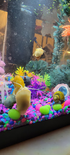 Pet Store «Moby Dick Pet Store Inc», reviews and photos, 3700 Sashabaw Rd, Waterford Twp, MI 48329, USA