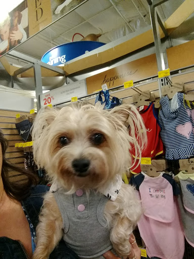 Pet Supply Store «PetSmart», reviews and photos, 2100 McHenry Ave, Modesto, CA 95350, USA