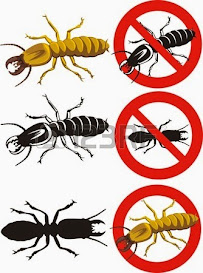 Hawaii Pest Control - Photo 3 - Car repair in , Honolulu