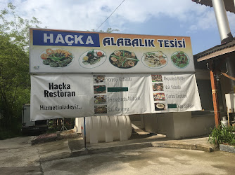 Düzköy Alabalik Tesisi