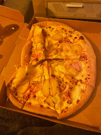 Plats et boissons du Pizzeria Domino's Pizza Lyon 5 - n°9