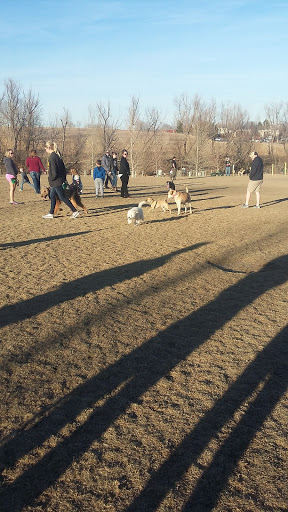 Roller Skating Rink «Skate City Littleton», reviews and photos