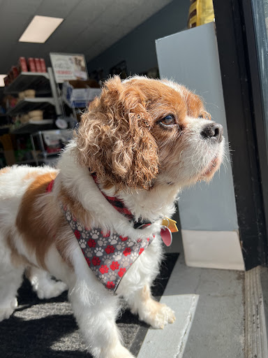 Woody’s Pet Supplies and Grooming
