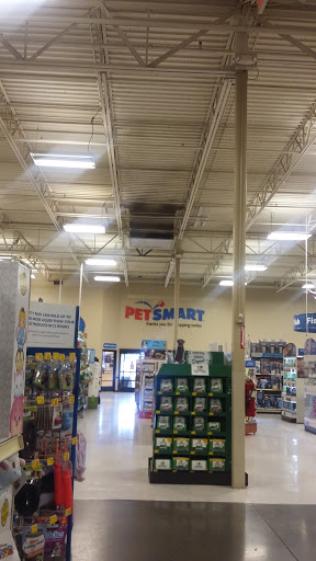 Pet Supply Store «PetSmart», reviews and photos, 2840 W Chandler Blvd, Chandler, AZ 85224, USA