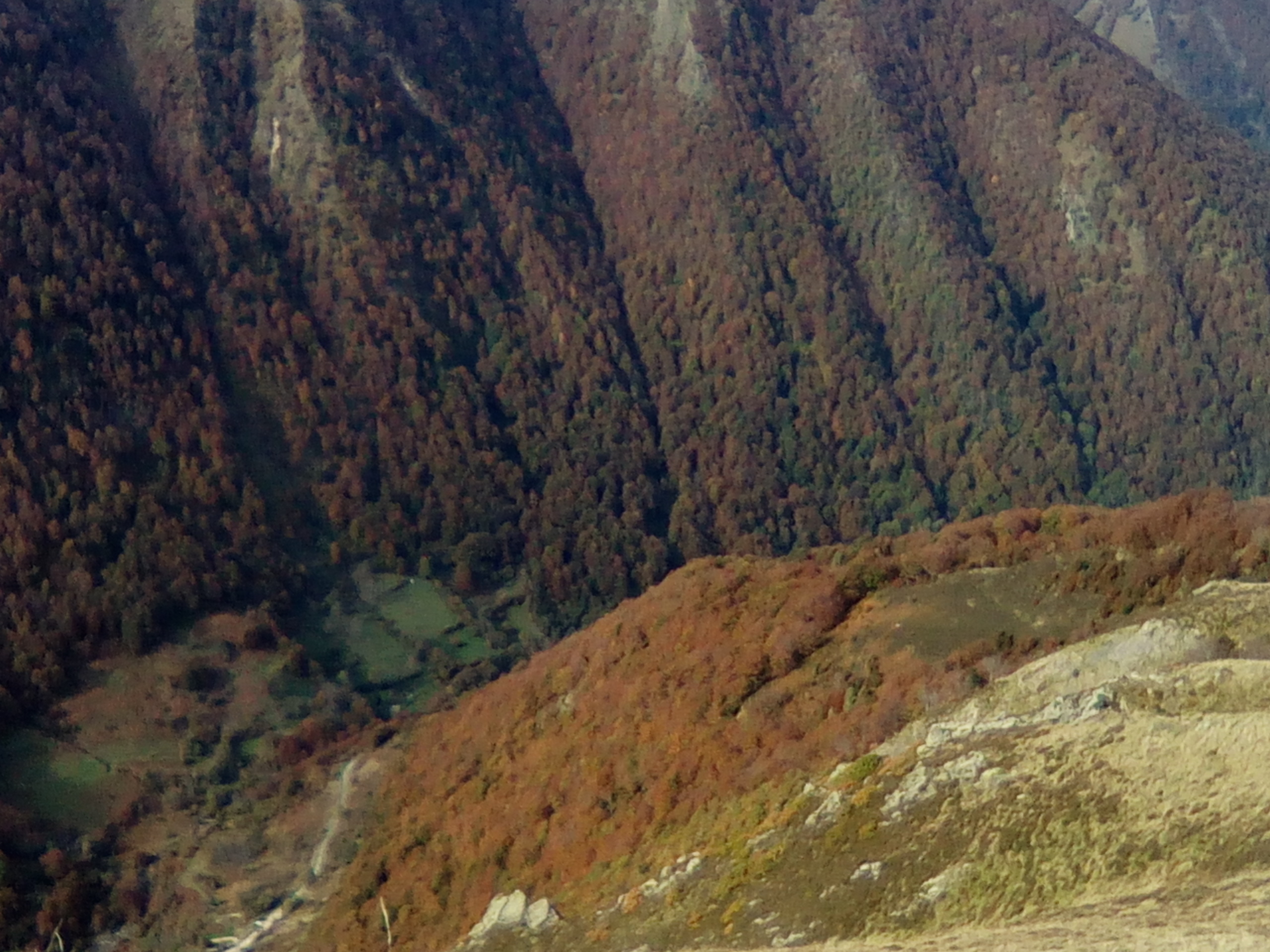 Photo n° 2 de l'avis de Myriam.u fait le 05/11/2018 à 19:59