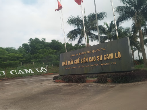 Nhà máy chế biến cao su Cam Lộ, Sepon group