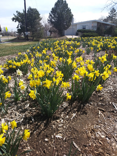 Park «Del Mar Park», reviews and photos, 12000 E 6th Ave, Aurora, CO 80010, USA