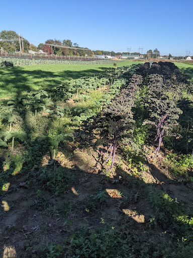 Farm «Four Town Farm», reviews and photos, 90 George St, Seekonk, MA 02771, USA