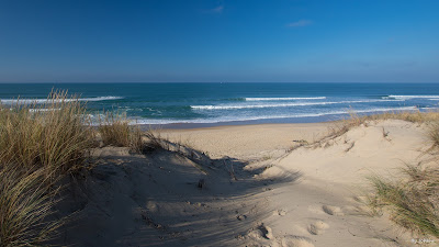 So nice surf school à Le Porge Océan, Le Porge