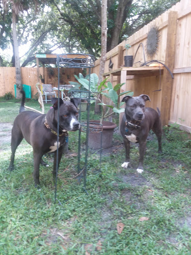 Pet Supply Store «Pet Supply Center», reviews and photos, 3558 Webber St, Sarasota, FL 34239, USA