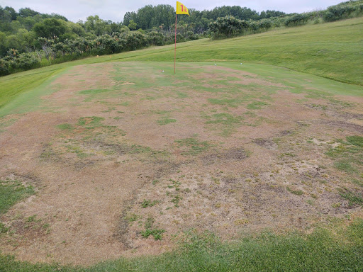 Public Golf Course «Lida Greens Golf Course», reviews and photos, 22950 MN-108, Pelican Rapids, MN 56572, USA