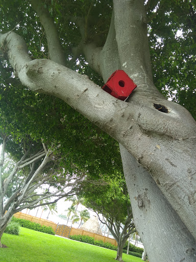 Park «Brickell Key Park», reviews and photos, Brickell Key Dr, Miami, FL 33131, USA