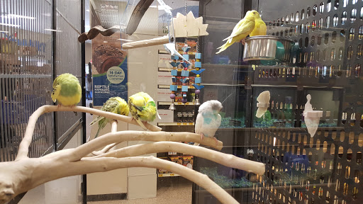 Pet Supply Store «PetSmart», reviews and photos, 10900 W Jefferson Blvd, Culver City, CA 90230, USA