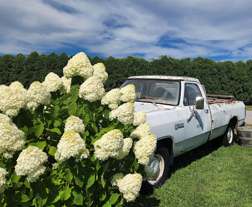 Winery «Laurel Lake Vineyards», reviews and photos, 3165 Main Rd, Laurel, NY 11948, USA