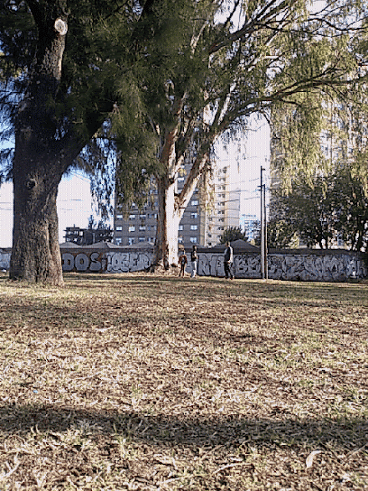 Plaza Chopin