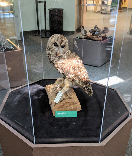 Museum «Discovery Place Nature», reviews and photos, 1658 Sterling Rd, Charlotte, NC 28209, USA