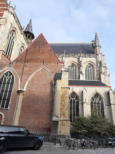 Beoordelingen van Sint-Martinuskerk Aalst in Aalst - Kerk