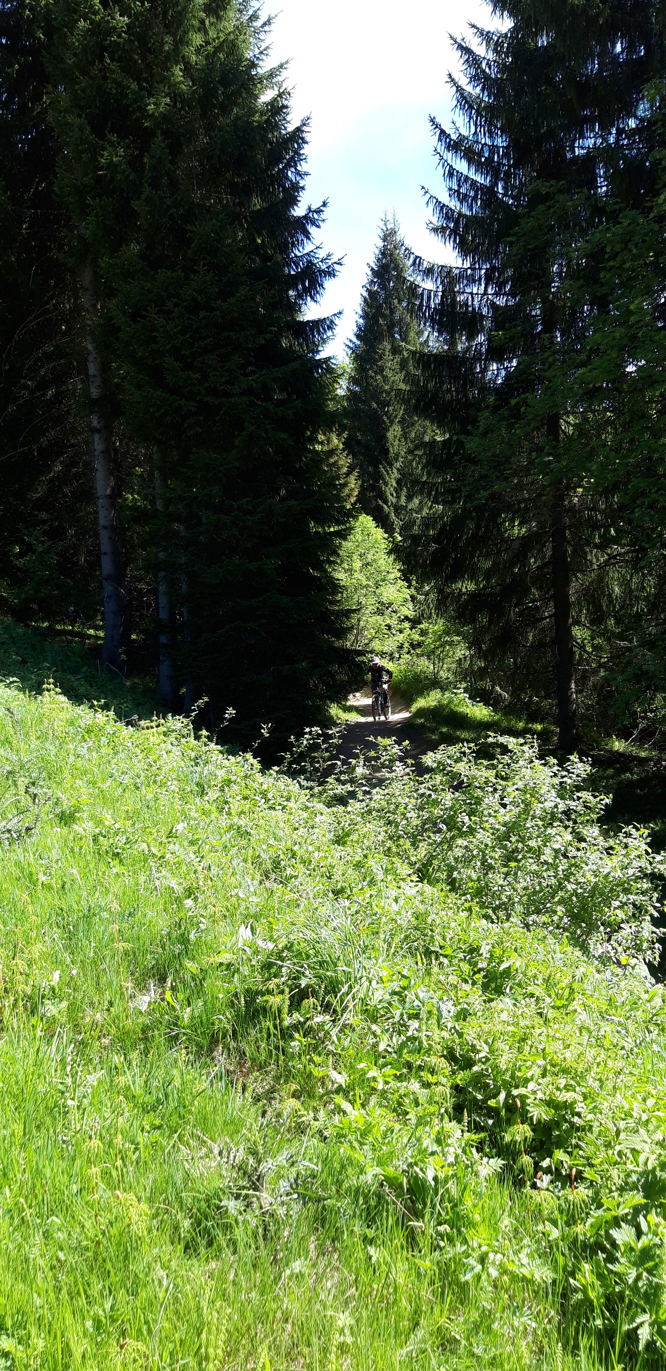 Photo n° 17 de l'avis de Philippe.u fait le 09/06/2019 à 12:24