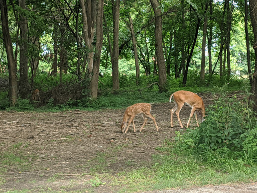 Golf Course «A.H. Blank Golf Course», reviews and photos, 808 County Line Rd, Des Moines, IA 50320, USA