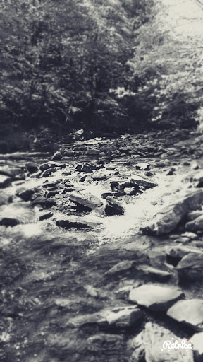 Park «Lykens Glen Park», reviews and photos, 706 Park View Rd, Lykens, PA 17048, USA