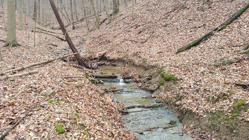 Nature Preserve «Laura Hare Nature Preserve at Downey Hill», reviews and photos, Valley Branch Rd, Nashville, IN 47448, USA