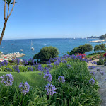 Photo n°2 de l'avis de Alessia.i fait le 13/07/2021 à 07:15 sur le  Continental à Santa Margherita Ligure