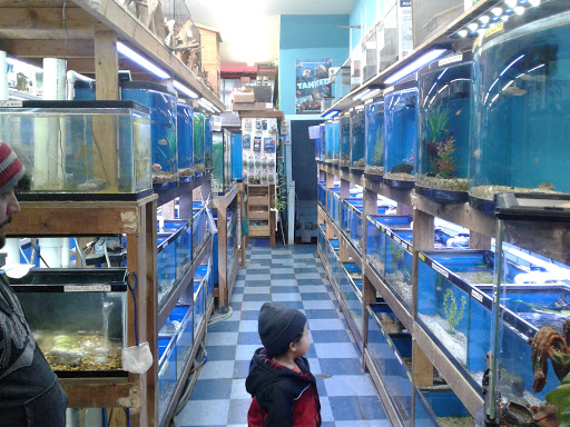 Pet Store «Jules Pet Shop», reviews and photos, 2214 N Milwaukee Ave, Chicago, IL 60647, USA