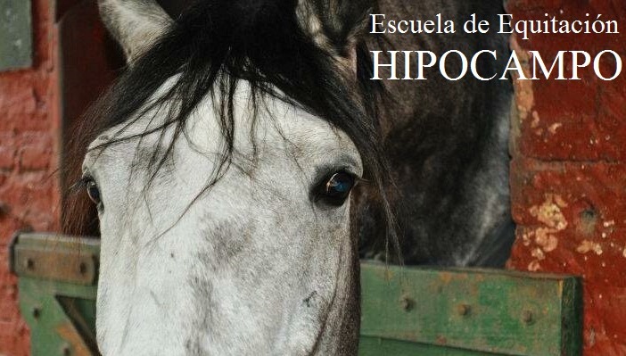 Escuela de Equitación Hipocampo