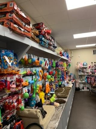 Pet Store «Island Dog», reviews and photos, 410 Mallery St, Saint Simons Island, GA 31522, USA