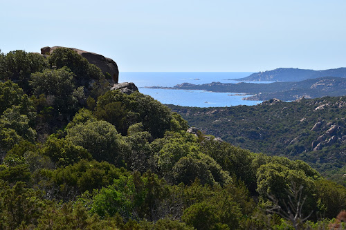 Punta di Roccapina à Monacia-d'Aullène