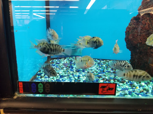 Pet Supply Store «Petco Animal Supplies», reviews and photos, 1009 E Commercial Blvd, Oakland Park, FL 33334, USA