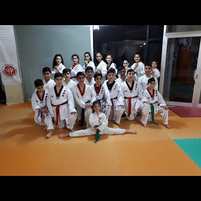 Sultangazi hedef taekwondo spor kulubu (H.T.S.K)